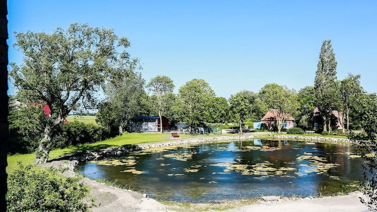 AreaSummer1KM AreaSummer1KM